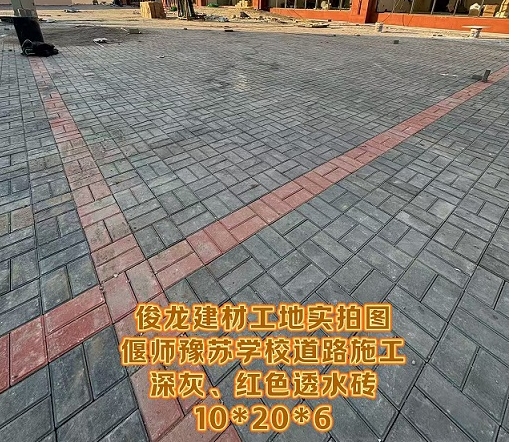 偃師豫蘇學(xué)校道路施工（深灰、紅色透水磚 10*20*6）